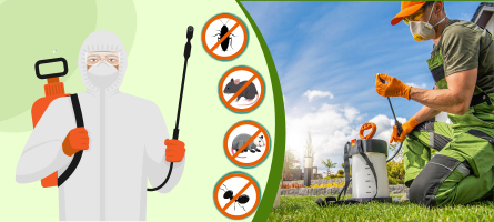 Emergency Pest Control Port Melbourne 